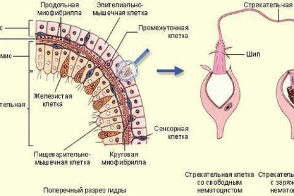 Кракен как зайти на сайт