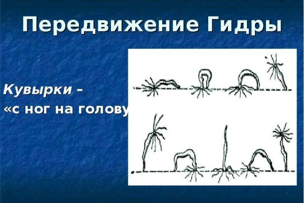 Kraken market ссылка